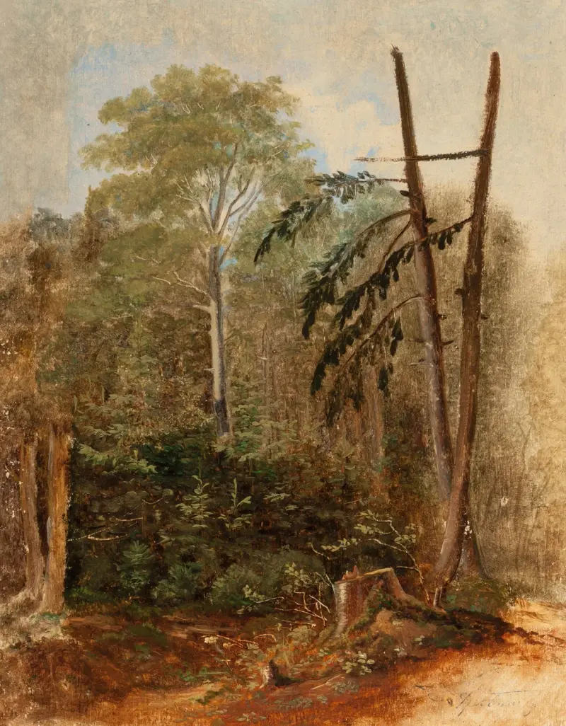 Studie av ett skogslandskap av Carl Spitzweg