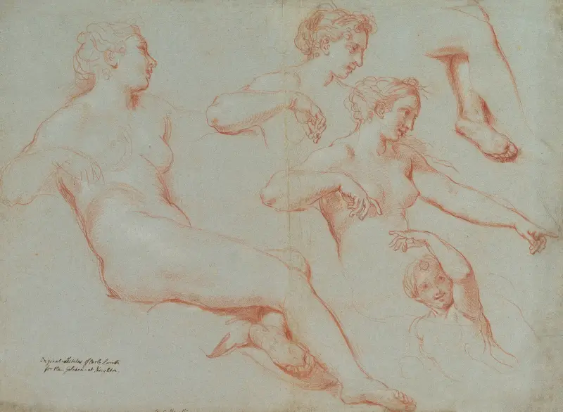 Fyra studier av liggande kvinnliga nakenstudier (Galatea) av Carlo Maratti