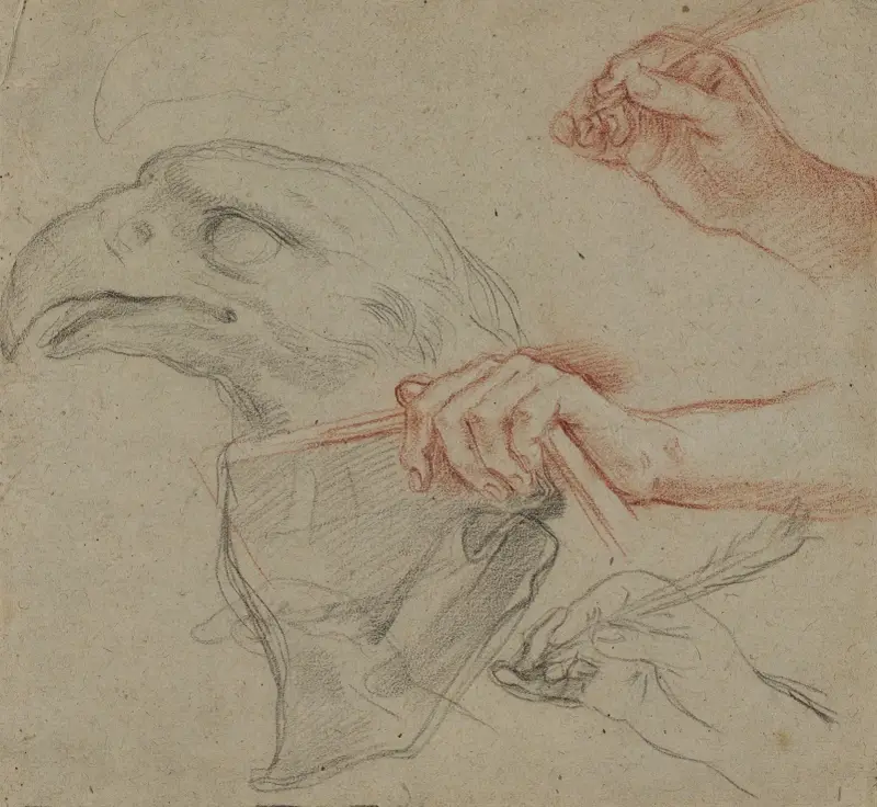 Study for an eagle’s head, three studies for a hand with a quill_and one study for a hand holding a book av Carlo Maratti