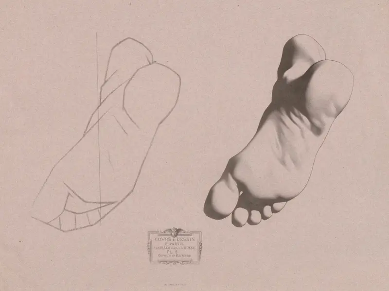 Teckningskurs Pl.10 av Charles Bargue