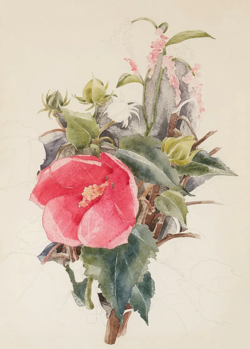 Hibiscus av Charles Demuth