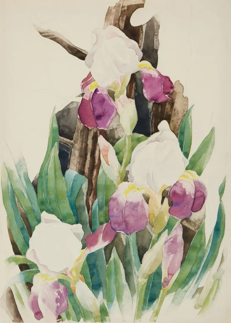 Iris av Charles Demuth