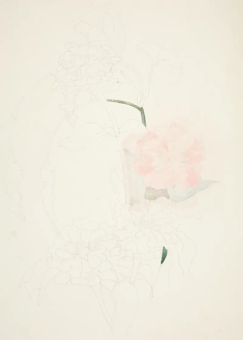 Zinnien von Charles Demuth