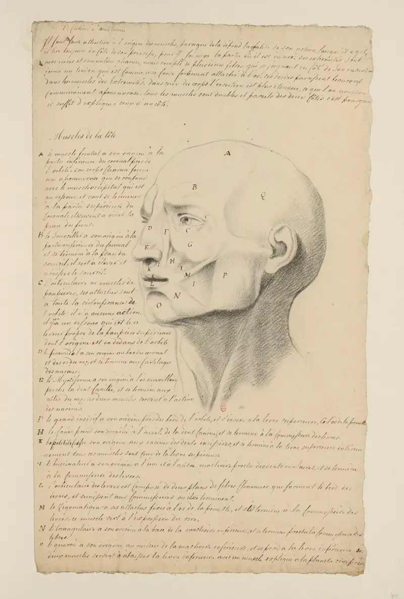 Cahiers d'Anatomie Taf. 06, 18. Jahrhundert von Charles Monnet