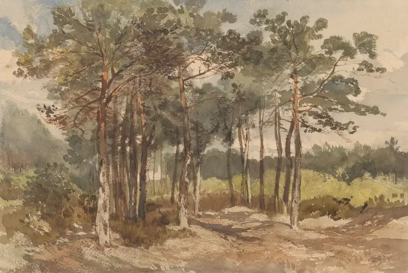Trädgrupp i skogen vid Driebergen av Charles Rochussen