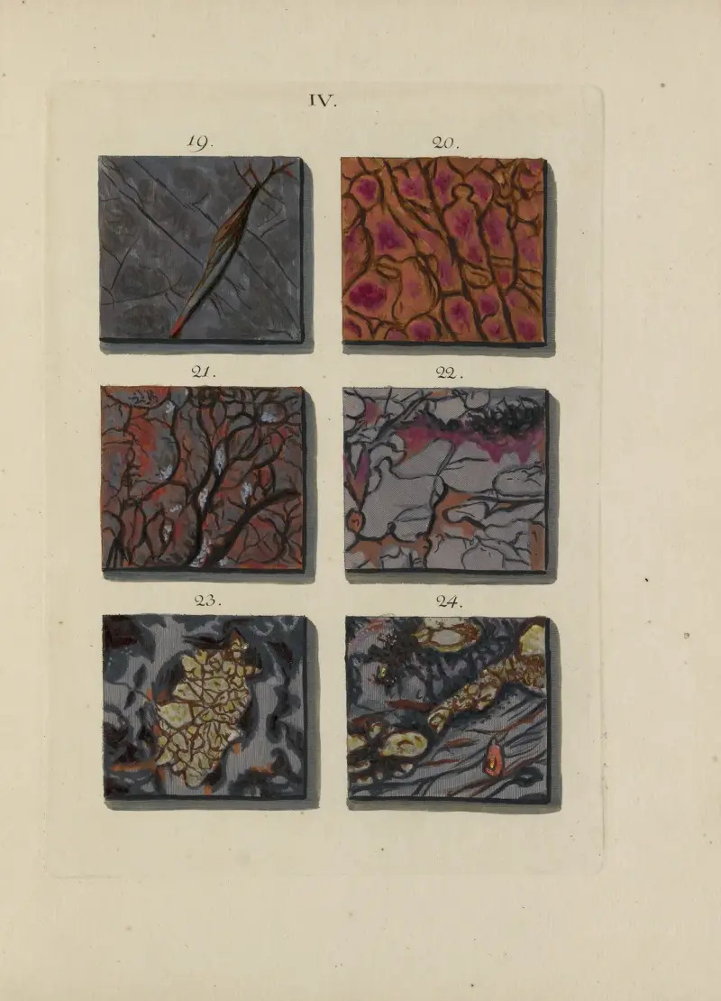 Bild av marmorsorter Pl.005 av Jan Christiaan Sepp