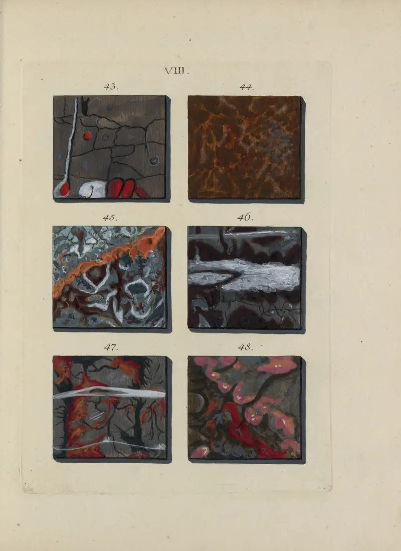 Afbeelding der marmor soorten Pl.009 av Jan Christiaan Sepp