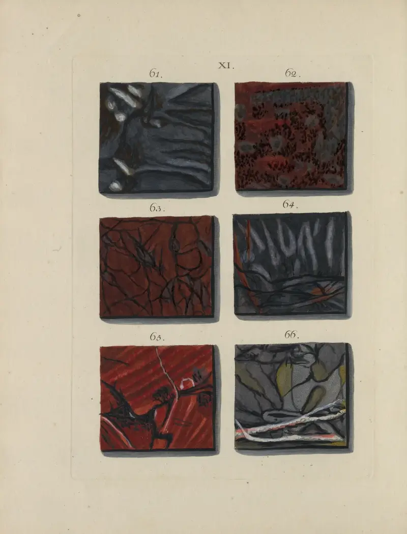 Avbildning av marmorsorter Pl.012 av Jan Christiaan Sepp
