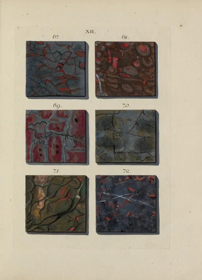 Afbeelding der marmor soorten Pl.013 av Jan Christiaan Sepp
