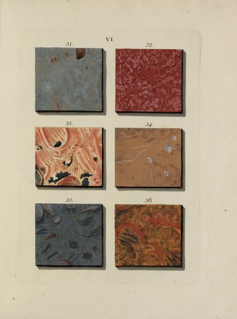 Afbeelding der marmor soorten Pl.019 av Jan Christiaan Sepp