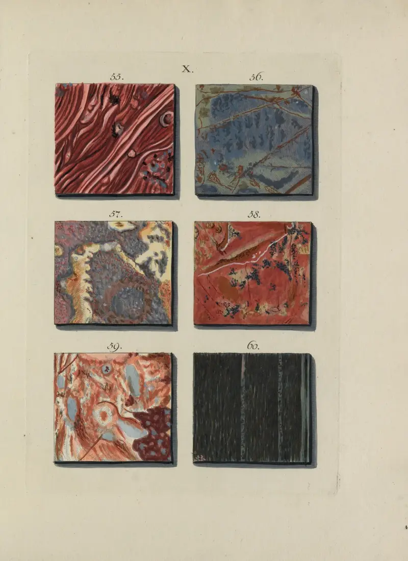 Afbeelding der marmor soorten Pl.023 av Jan Christiaan Sepp