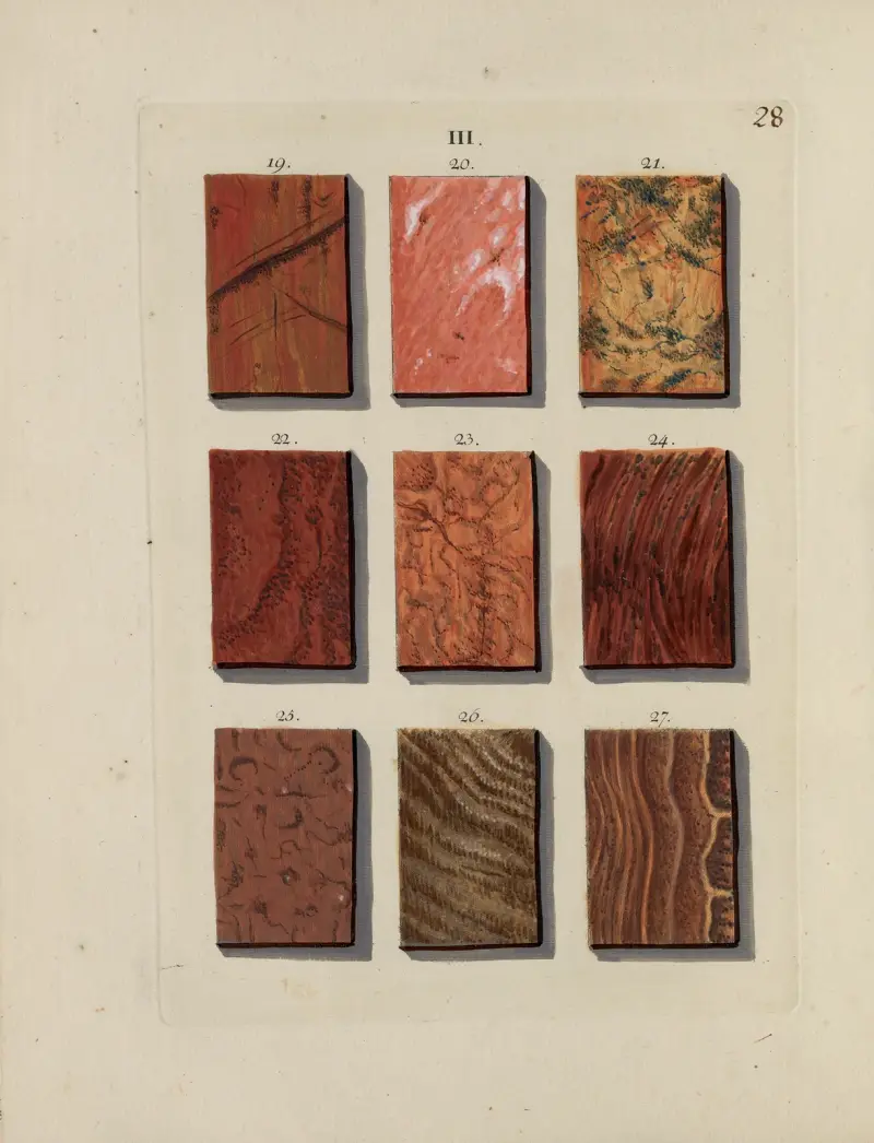 Afbeelding der marmor soorten Pl.028 av Jan Christiaan Sepp