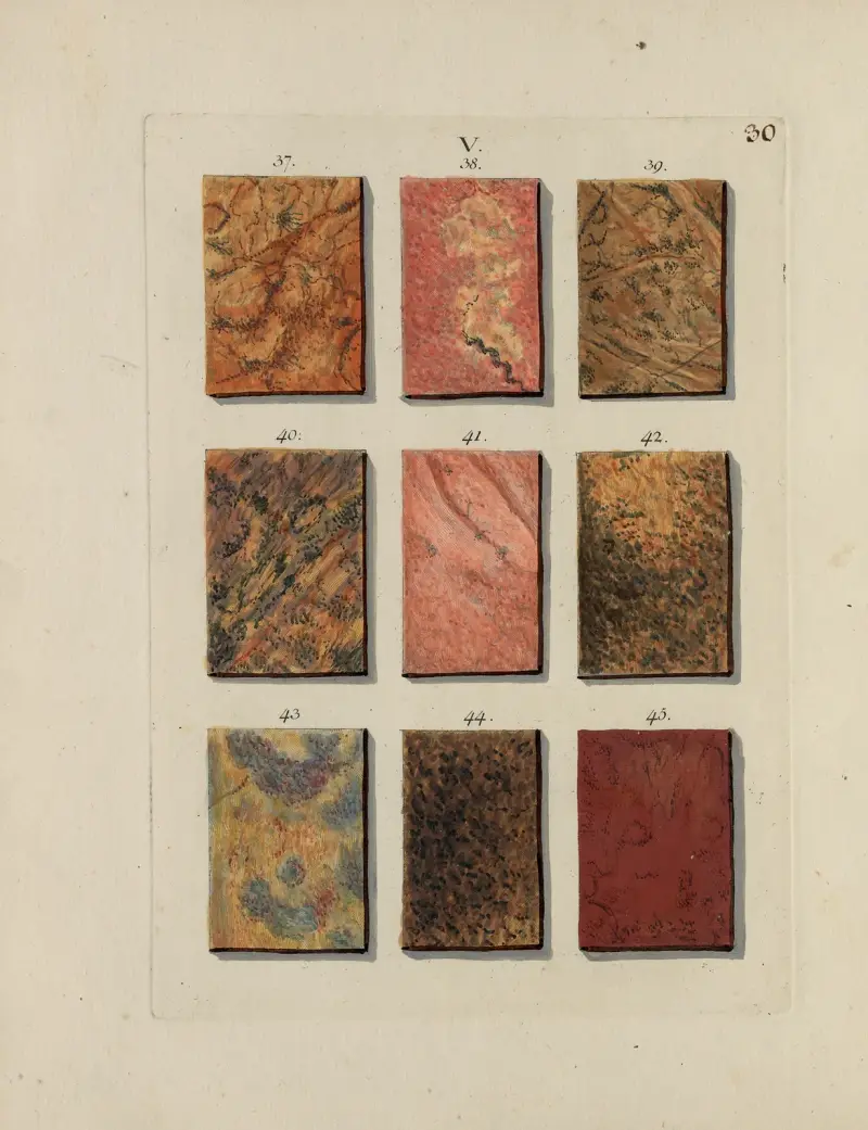 Bild av marmorsorter Pl.030 av Jan Christiaan Sepp