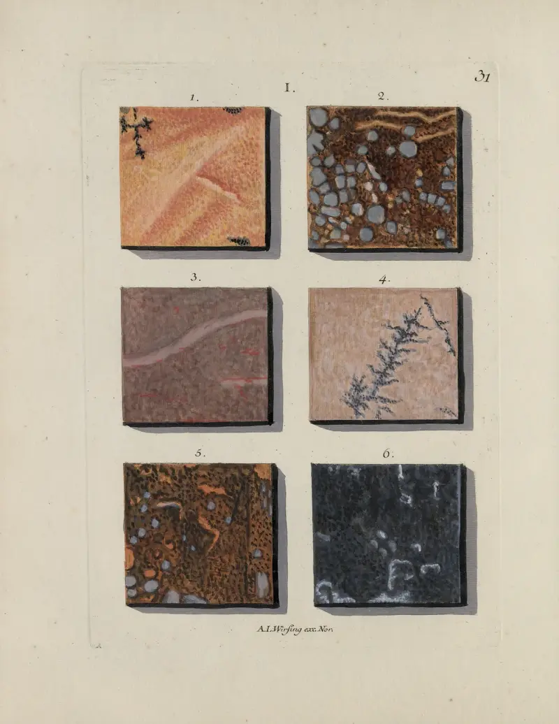 Afbeelding der marmor soorten Pl.031 av Jan Christiaan Sepp