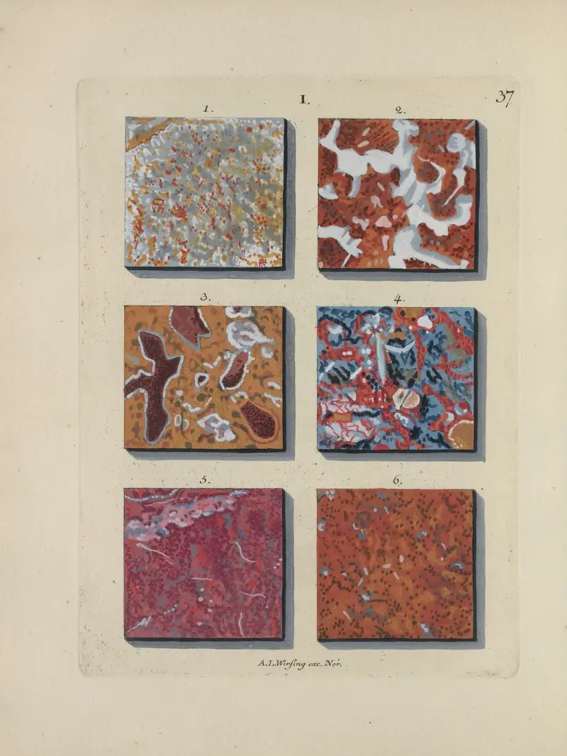 Afbeelding der marmor soorten Pl.037 av Jan Christiaan Sepp