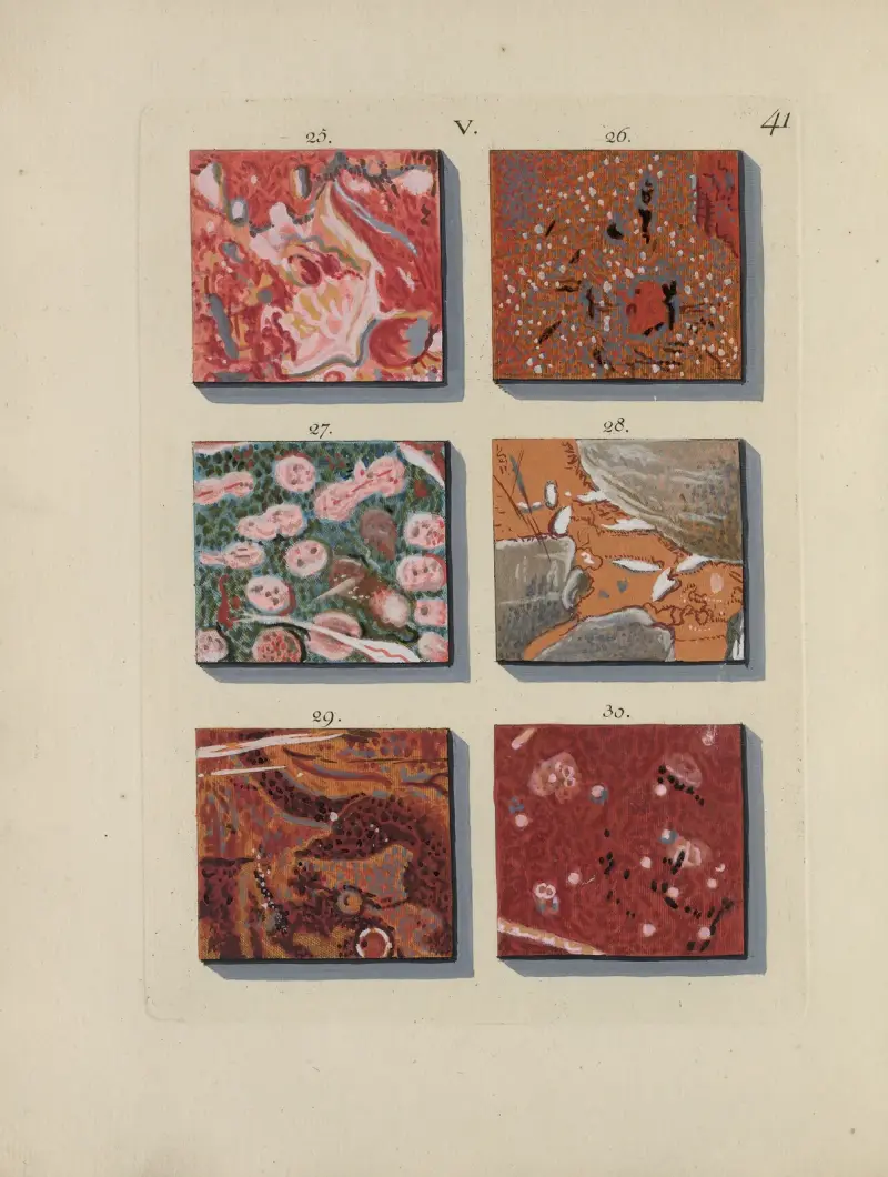 Afbeelding der marmor soorten Pl.041 av Jan Christiaan Sepp