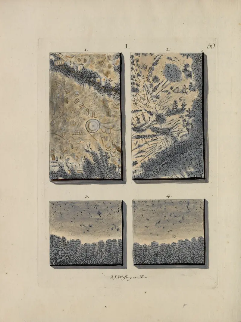 Afbeelding der marmor soorten Pl.050 av Jan Christiaan Sepp