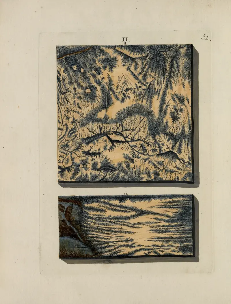 Afbeelding der marmor soorten Pl.051 av Jan Christiaan Sepp