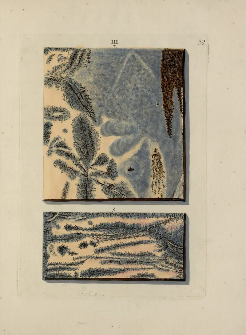Afbeelding der marmor soorten Pl.052 av Jan Christiaan Sepp