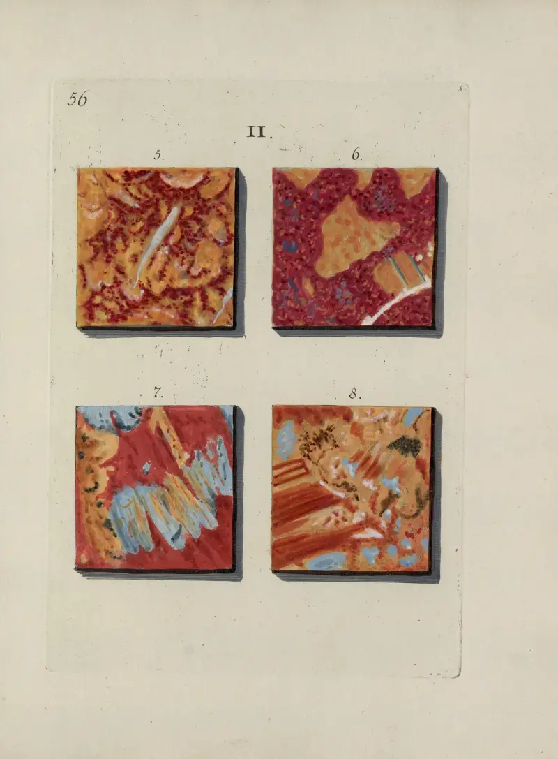 Afbeelding der marmor soorten Pl.056 av Jan Christiaan Sepp