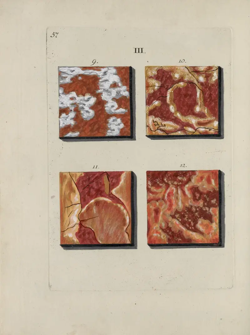 Afbeelding der marmor soorten Pl.057 av Jan Christiaan Sepp