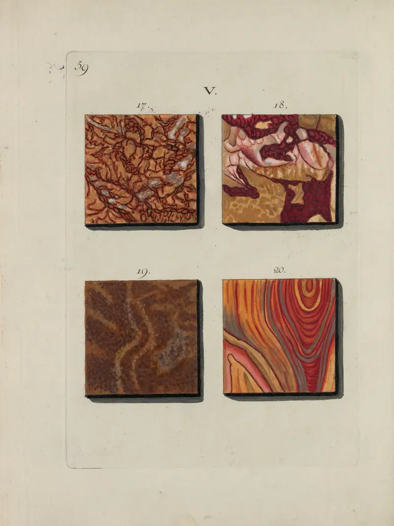 Afbeelding der marmor soorten Pl.059 av Jan Christiaan Sepp