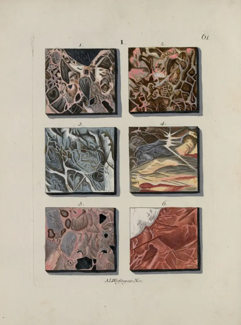 Afbeelding der marmor soorten Pl.061 av Jan Christiaan Sepp