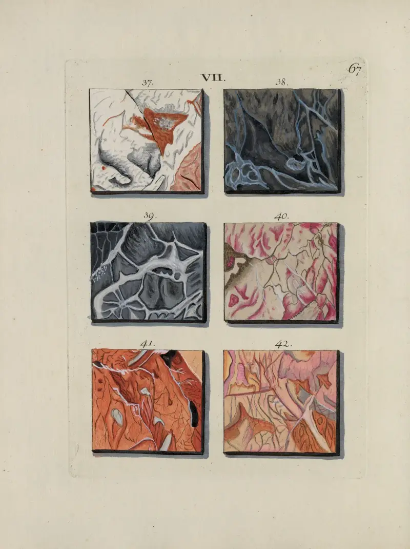 Afbeelding der marmor soorten Pl.067 av Jan Christiaan Sepp
