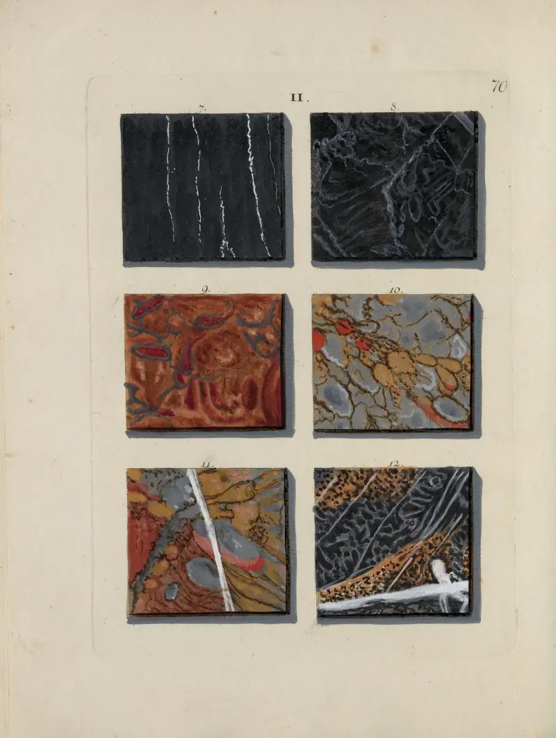 Bild av marmorsorter Pl.070 av Jan Christiaan Sepp
