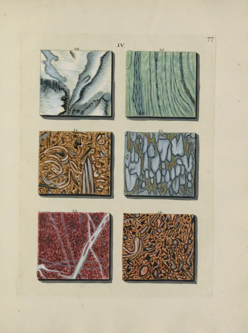 Afbeelding der marmor soorten Pl.077 av Jan Christiaan Sepp