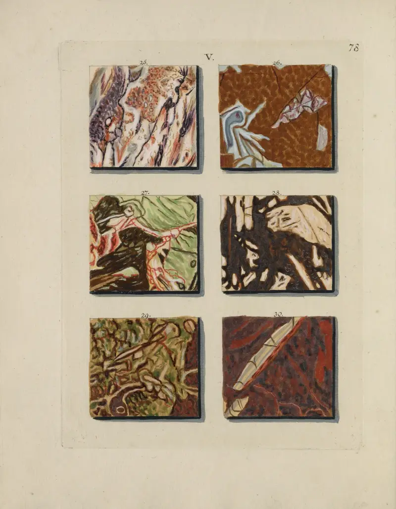 Afbeelding der marmor soorten Pl.078 av Jan Christiaan Sepp