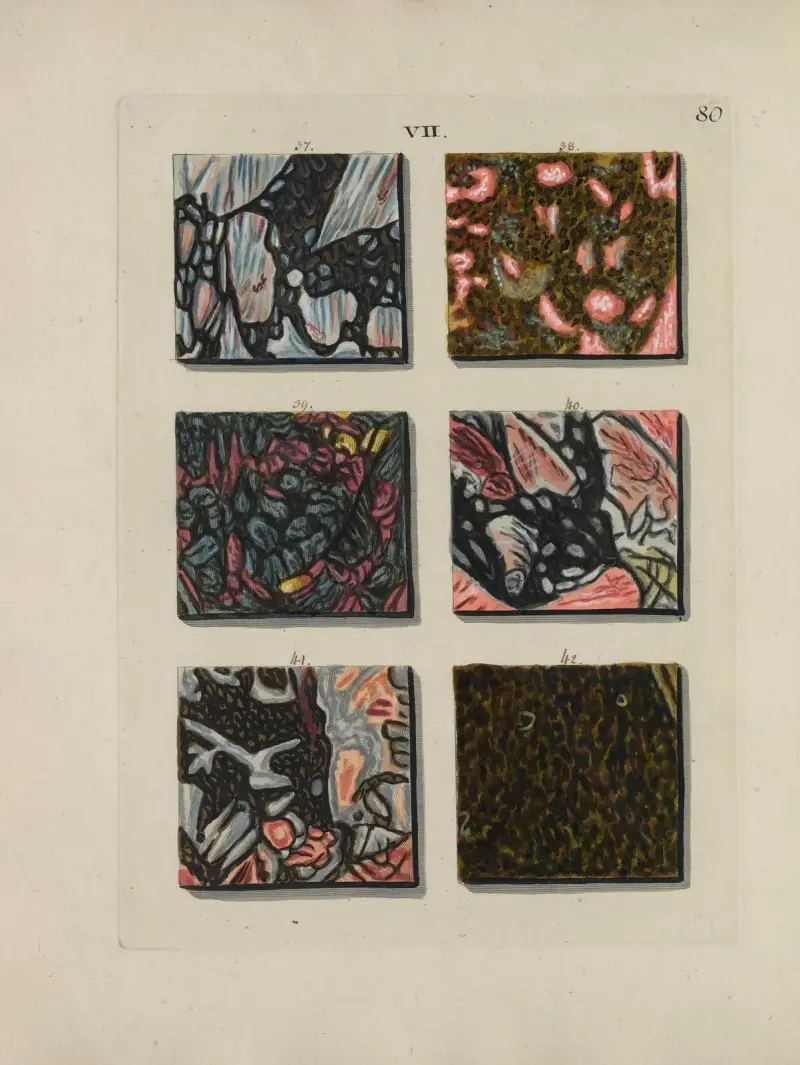 Afbeelding der marmor soorten Pl.080 av Jan Christiaan Sepp
