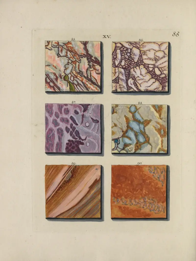 Afbeelding der marmor soorten Pl.088 av Jan Christiaan Sepp