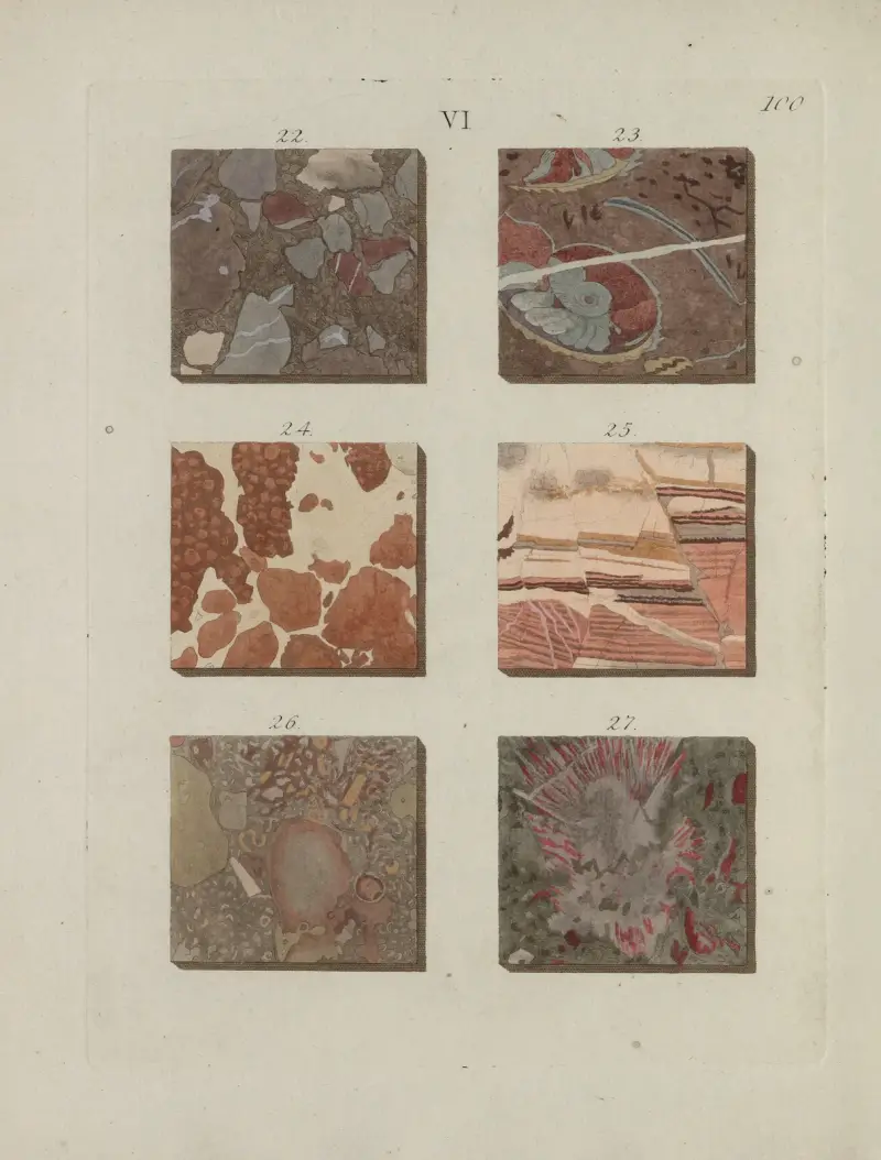 Avbildning av marmorsorter Pl.100 av Jan Christiaan Sepp