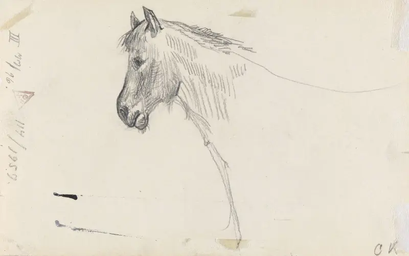 Pferdekopf von Christian Krohg
