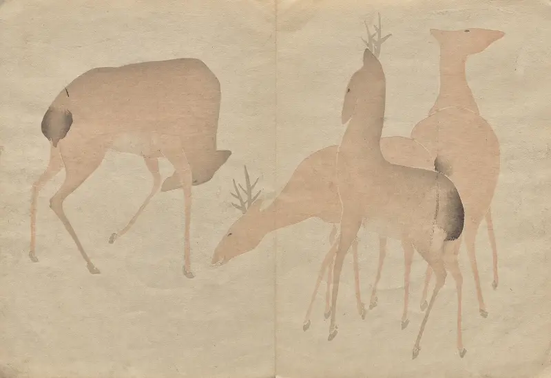 The Kōrin Picture Book Pl.06 av Hōchū Nakamura