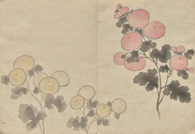 The Kōrin Picture Book Pl.08 av Hōchū Nakamura