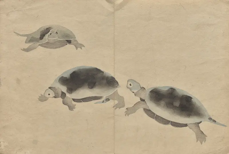 The Kōrin Picture Book Pl.16 av Hōchū Nakamura