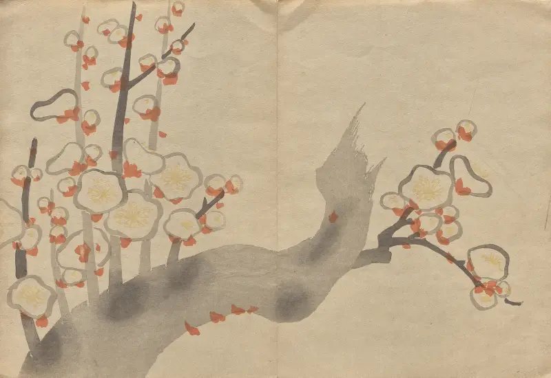 The Kōrin Picture Book Pl.19 av Hōchū Nakamura