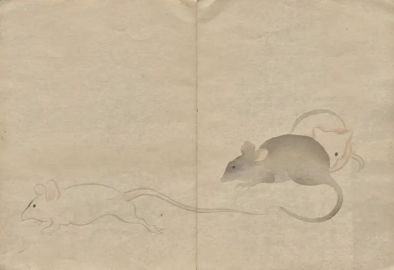 The Kōrin Picture Book Pl.26 av Hōchū Nakamura