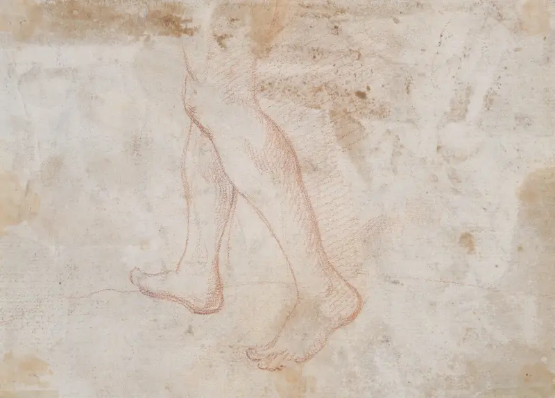 Schreitendes Beinpaar (Fragment) von Claude Lorrain
