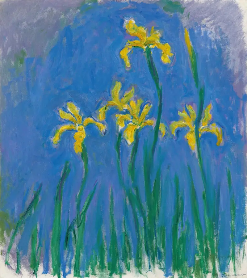 Iris, 1924, Claude Monet