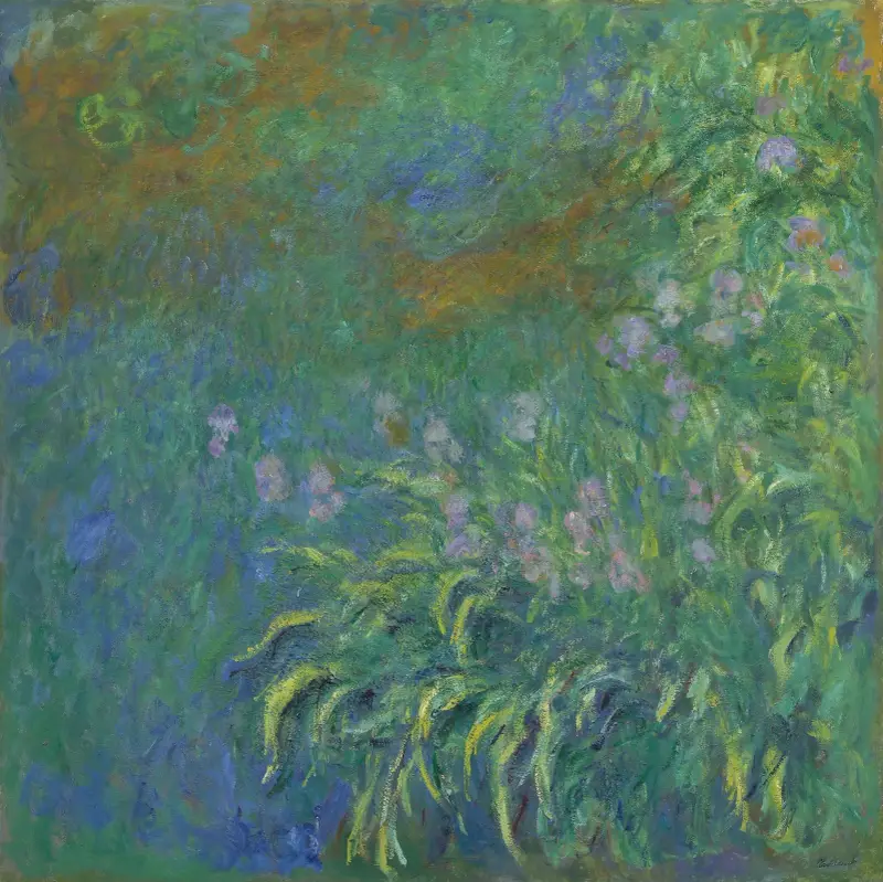 Kosatce, Claude Monet