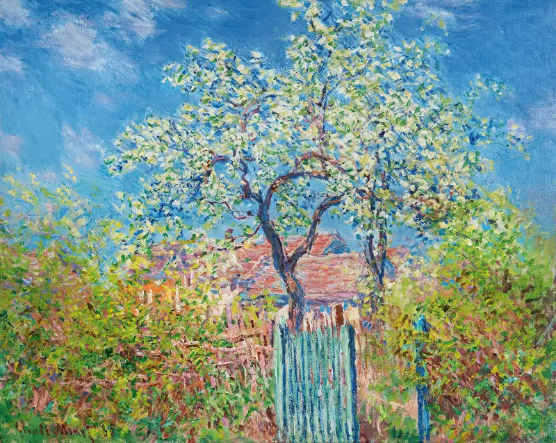 Blühender Birnbaum von Claude Monet