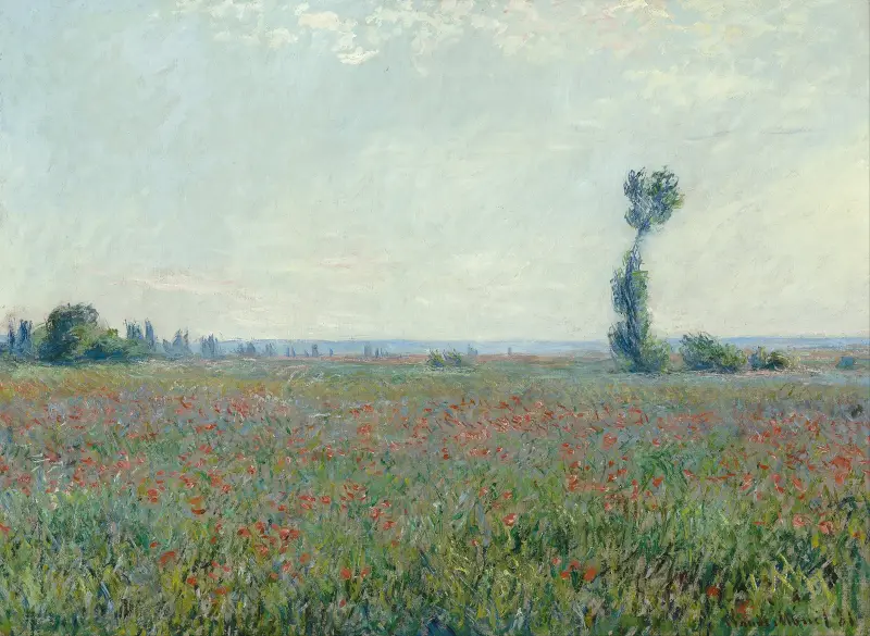 Mohnfeld 2 von Claude Monet