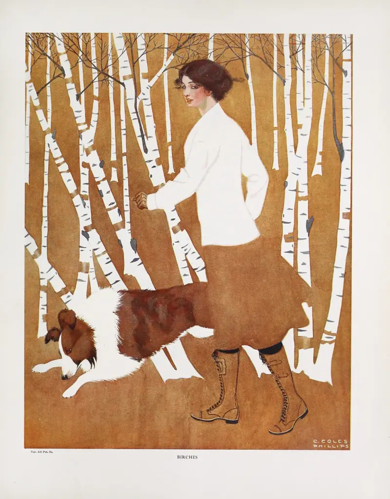 Birken von Coles Phillips
