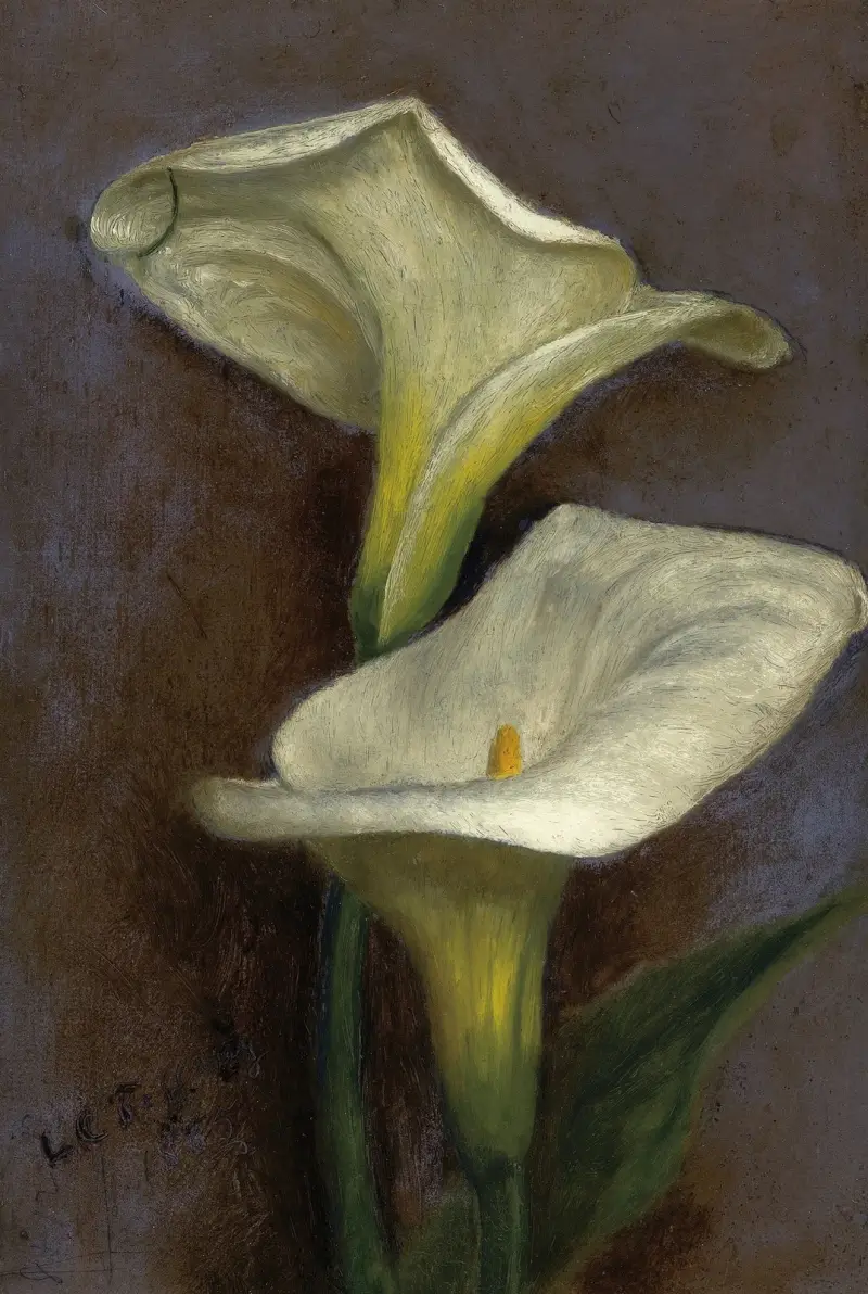 Calla Lilies av Louis Comfort Tiffany