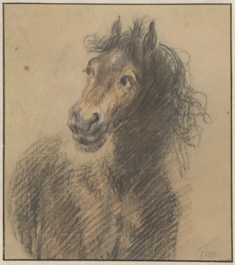 Pferd, von vorn gesehen, nach links blickend von Cornelis Troost