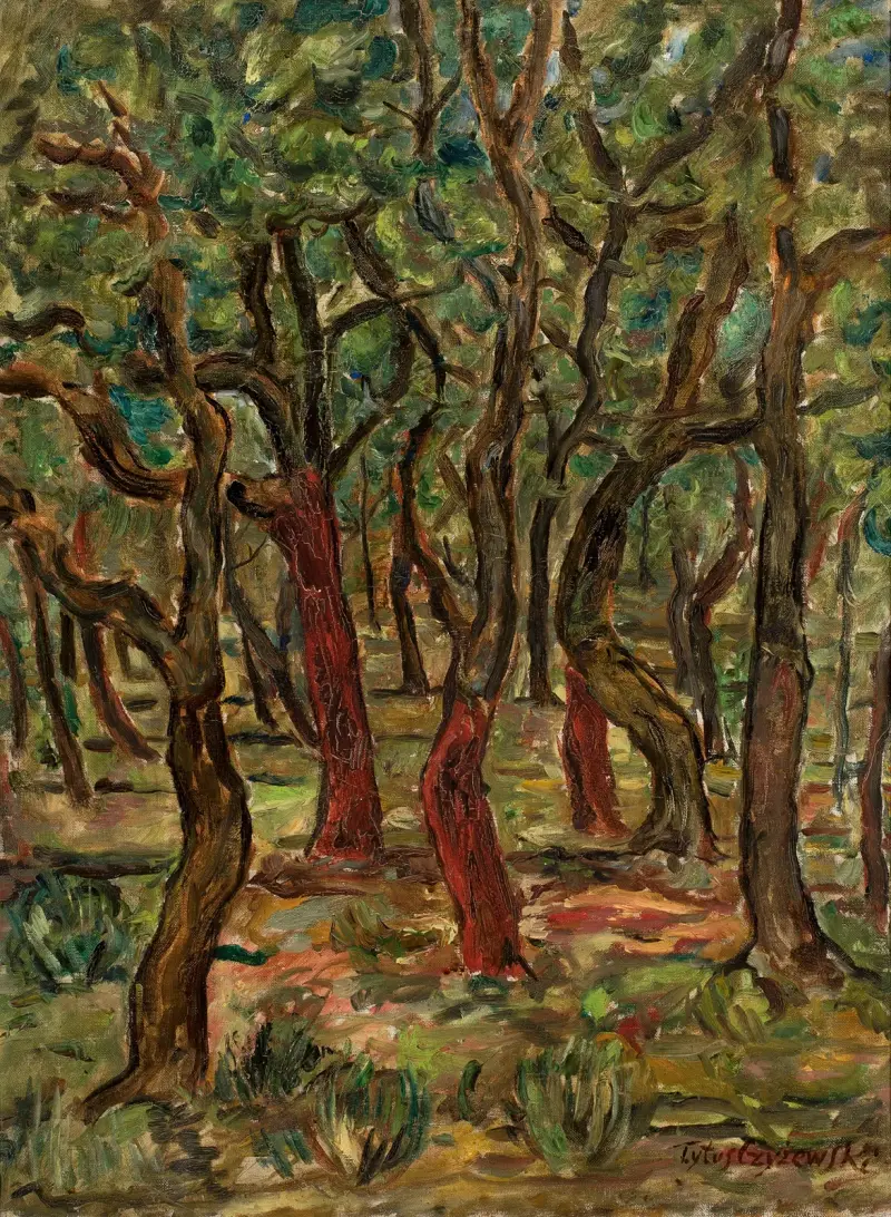 Las, Tytus Czyżewski