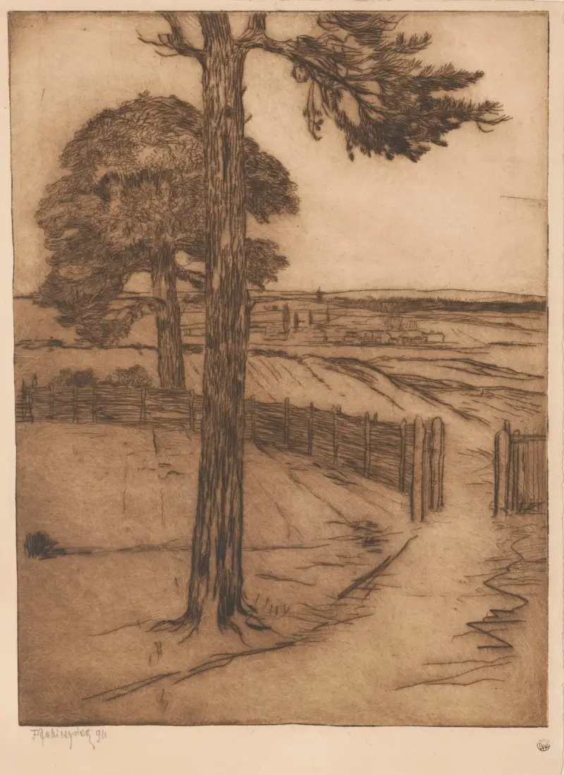 Pines against the background of rural landscape av Feliks Jabłczyński